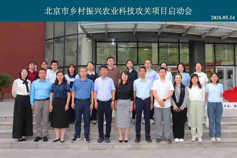 喜讯！伟杰信生物研发的宠物肿瘤抗体药，获得北京市乡村振兴农业科技项目支持